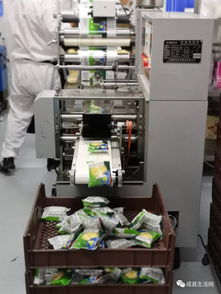 探访家乡味道 陇南生活网团队观摩成县优点食品厂侧记